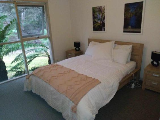 Russell Falls Holiday Cottages National Park Eksteriør bilde