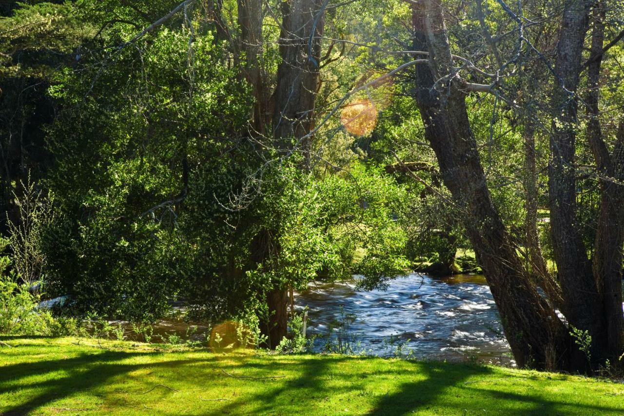 Russell Falls Holiday Cottages National Park Eksteriør bilde
