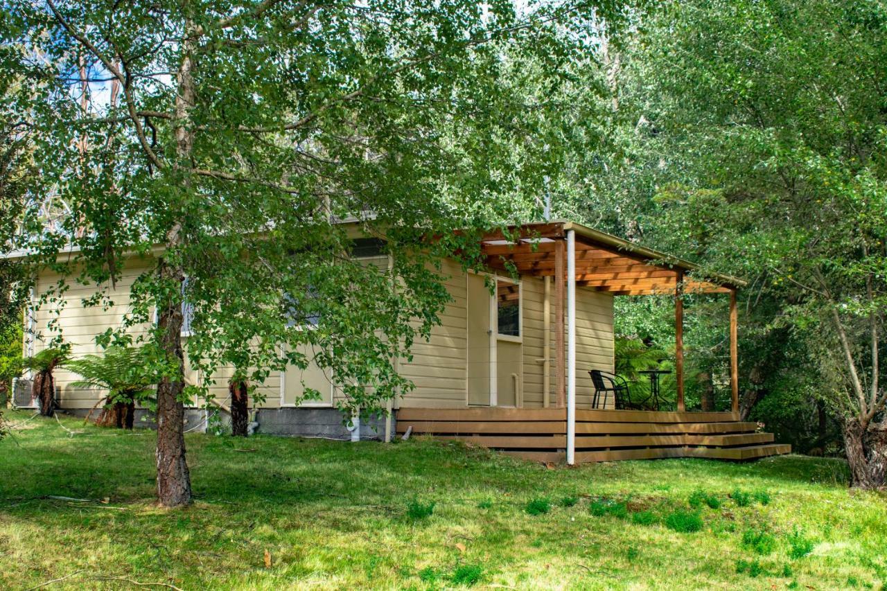 Russell Falls Holiday Cottages National Park Eksteriør bilde