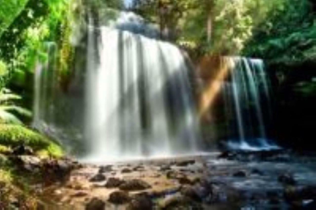 Russell Falls Holiday Cottages National Park Eksteriør bilde