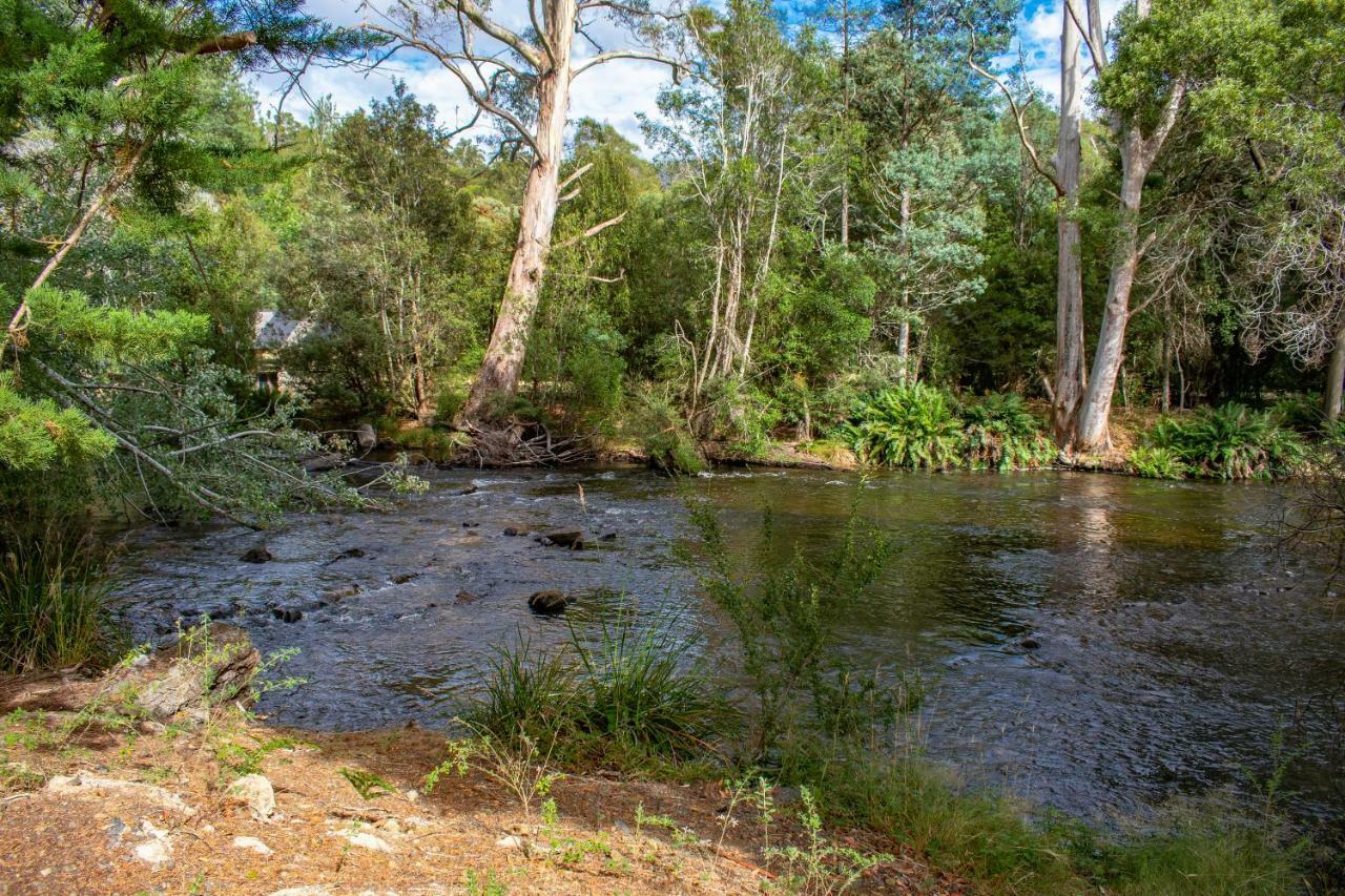 Russell Falls Holiday Cottages National Park Eksteriør bilde