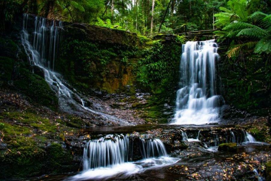 Russell Falls Holiday Cottages National Park Eksteriør bilde