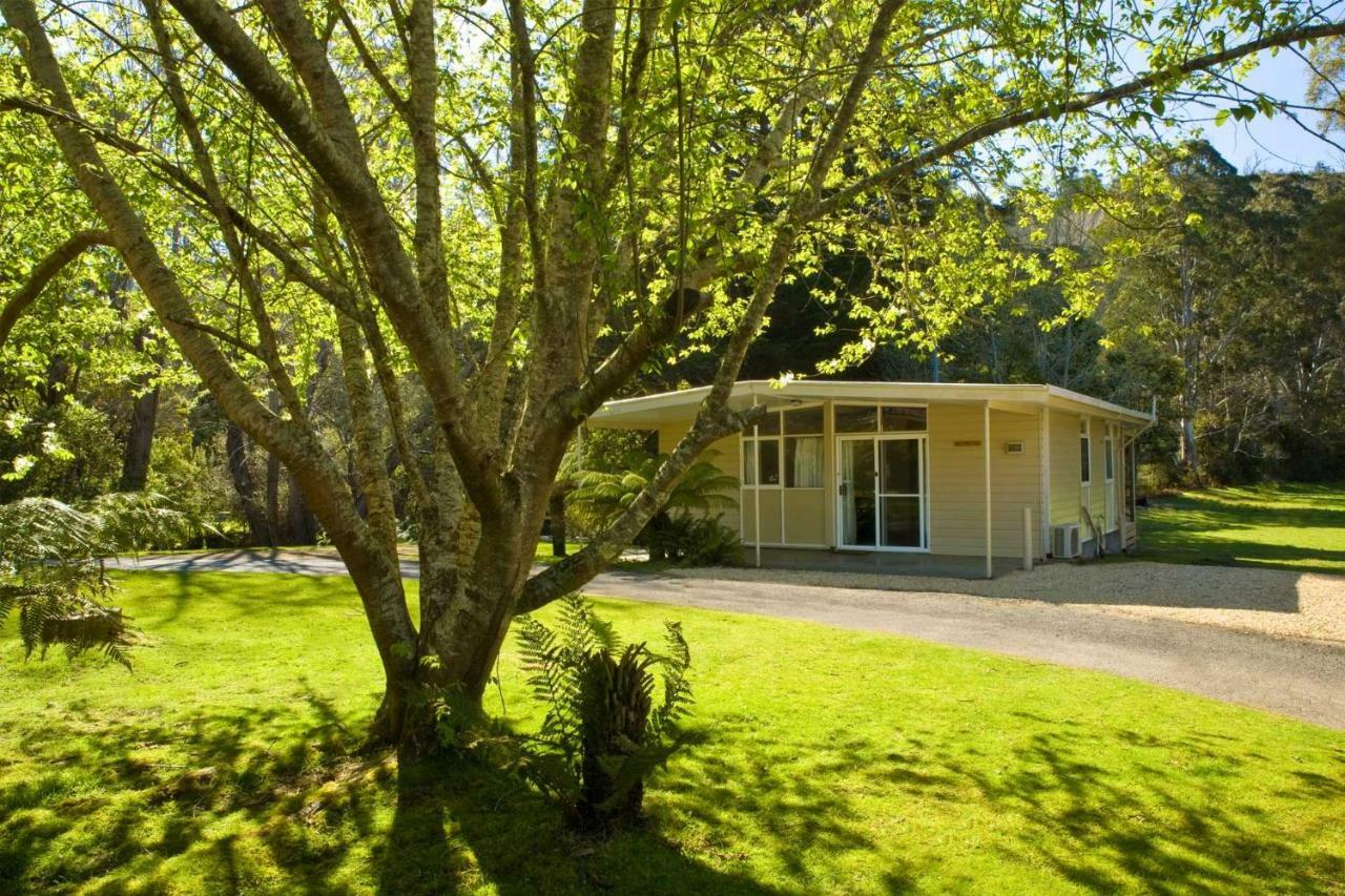 Russell Falls Holiday Cottages National Park Eksteriør bilde